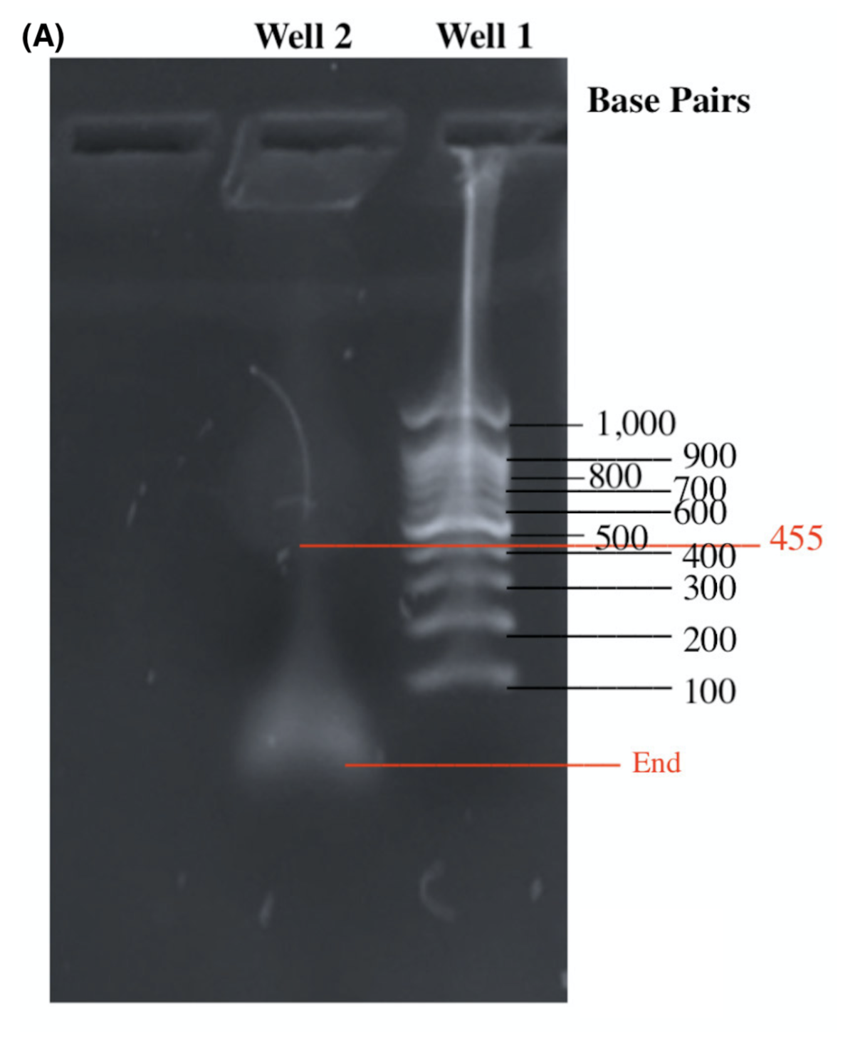 Figure 4A